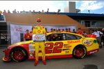 Sprint-Cup-Polesetter Joey Logano (Penske) 