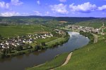 Blick auf die Mosel