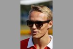 Max Chilton (Marussia) 