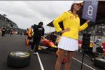 Fabio Leimer (Racing Engineering) 