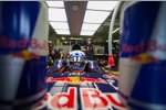 Daniel Ricciardo (Toro Rosso)