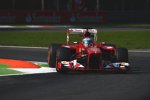 Fernando Alonso (Ferrari)