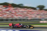 Daniel Ricciardo (Toro Rosso)