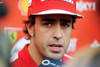 Bild zum Inhalt: Alonso betont: Faire Chancen für Massa und Piquet jun.