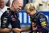 Bild zum Inhalt: Vettel: Newey scheint andere Herangehensweise zu haben