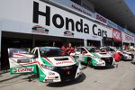 Gabriele Tarquini (Honda) 