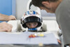 Bild zum Inhalt: Formel-1-Premiere für Sirotkin in Sotschi