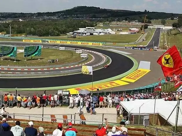 Fernando Alonso Titel-Bild zur News: Fernando Alonso
