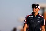 Pastor Maldonado (Williams) 