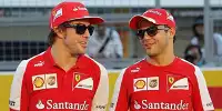 Bild zum Inhalt: Alonso: "Massa ist nicht langsamer als Räikkönen"