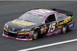 Clint Bowyer (Waltrip) 