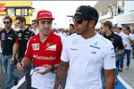 Fernando Alonso (Ferrari) und Lewis Hamilton (Mercedes) 