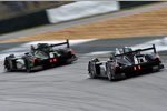 Scott Sharp, David Brabham, Scott Tucker, Ryan Briscoe und Marino Franchitti 