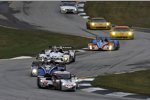 Katherine Legge, Tomy Drissi, Kyle Marcelli und Stefan Johansson 
