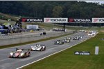 Nick Heidfeld (Rebellion), Neel Jani (Rebellion) und Klaus Graf 