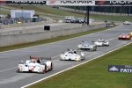 Tom Kimber-Smith (Greaves), Mark Wilkins, Tomy Drissi, Dominik Farnbacher, Marc Goossens, Ryan Dalziel und Katherine Legge 