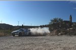 Andreas Mikkelsen (Volkswagen)