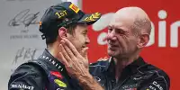 Bild zum Inhalt: Horner: Newey bleibt in bekannten Gewässern