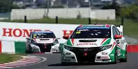 Bild zum Inhalt: Monteiro vor Tarquini und Michelisz: Honda triumphiert