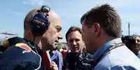 Adrian Newey, Christian Horner
