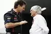 Bild zum Inhalt: Horner schlägt Ecclestone-Nachfolge aus