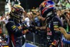 Bild zum Inhalt: Vettel: Respekt im Fahrerlager erarbeitet