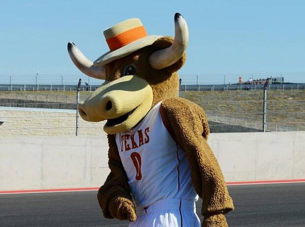 Titel-Bild zur News: Maskottchen Texas Austin