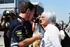 Bild zum Inhalt: Horner als Ecclestone-Nachfolger? "Bernie ist noch lange da"