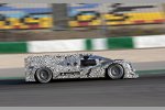 Mark Webber (Porsche)