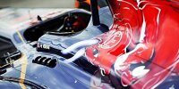 Bild zum Inhalt: Toro Rosso bereits auf McLaren-Niveau?