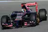 Bild zum Inhalt: Toro Rosso: Motor sorgt für große Vibrationen