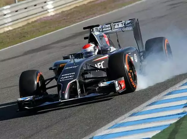 Titel-Bild zur News: Adrian Sutil