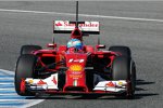 Fernando Alonso (Ferrari) 