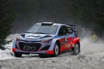 Thierry Neuville (Hyundai)