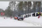 Thierry Neuville (Hyundai)