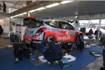 Thierry Neuville (Hyundai)