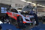 Thierry Neuville (Hyundai)