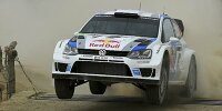 Bild zum Inhalt: Zwölf WRC-Boliden in Mexiko am Start