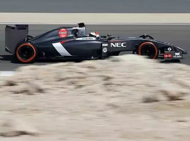 Titel-Bild zur News: Adrian Sutil