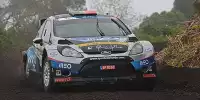 Bruno Magalhaes