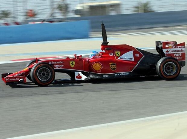 Fernando Alonso Fernando Alonso