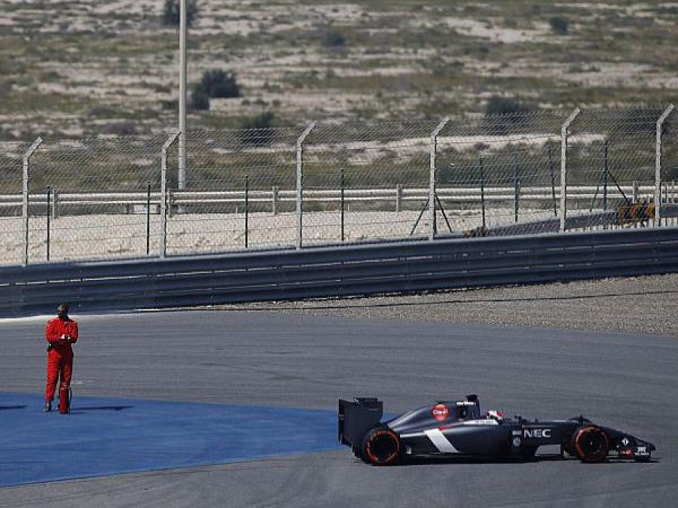 Adrian Sutil