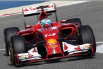 Fernando Alonso (Ferrari) 
