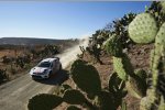 Andreas Mikkelsen (Volkswagen)