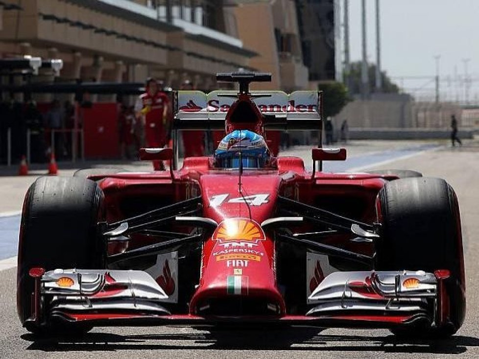 Fernando Alonso