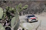 Kris Meeke (Citroen) 