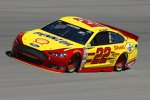 Joey Logano (Penske) 