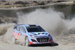 Thierry Neuville (Hyundai)