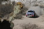 Thierry Neuville (Hyundai)