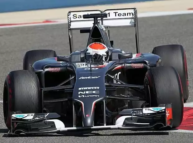 Titel-Bild zur News: Adrian Sutil